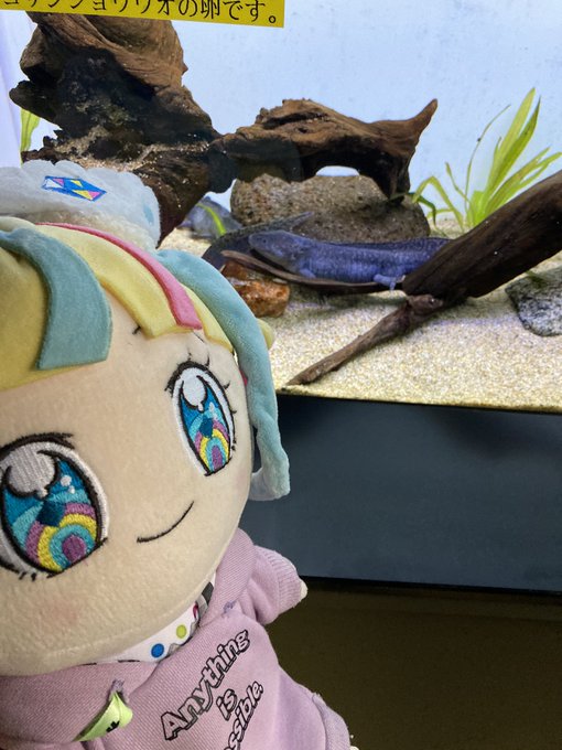 サンシャイン水族館のtwitterイラスト検索結果