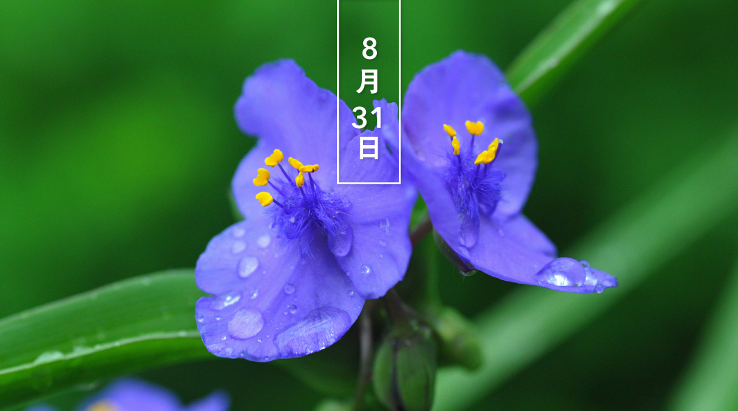 Es07gb1yf9bq6m Es07gb1yf9bq6m