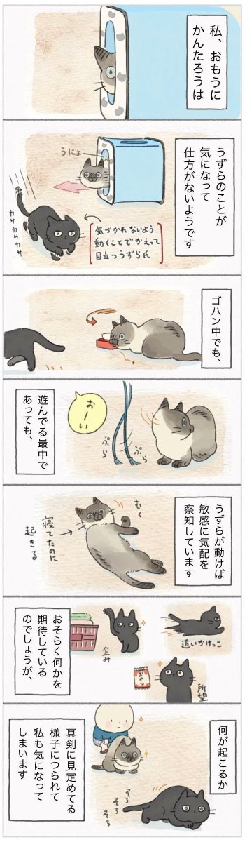 うーネェさんを察知する能力は誰にも負けません。かんたろうのうずら観察眼【連載】ねこ連れ草 189話め|ねこのきもちWEB MAGAZINE https://t.co/RrpbIQDMZ7 
