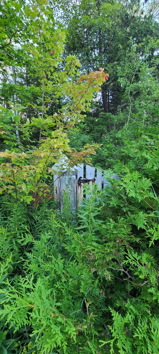 LittleBoPearce's tweet photo. @USGeocaching @MU_Dac #SassCache from @cacheflokeepers here with her photo from a cache she found this weekend!
Normally from Alberta, but visiting in Ontario! https://t.co/5ATIeTDmhA