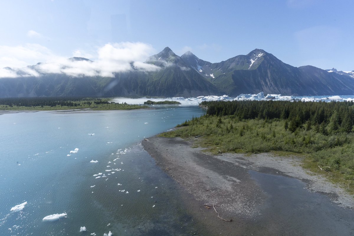 robinson_parker's tweet photo. Stay wild Alaska. https://t.co/LVdlUzSaOv