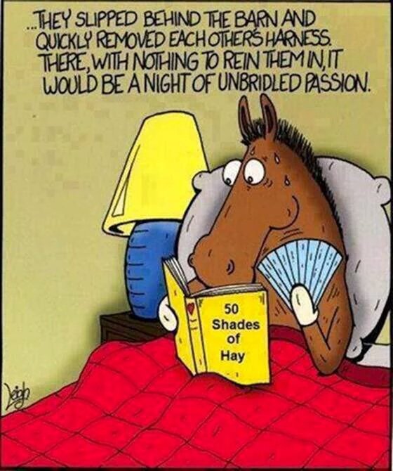 Sorry lol!