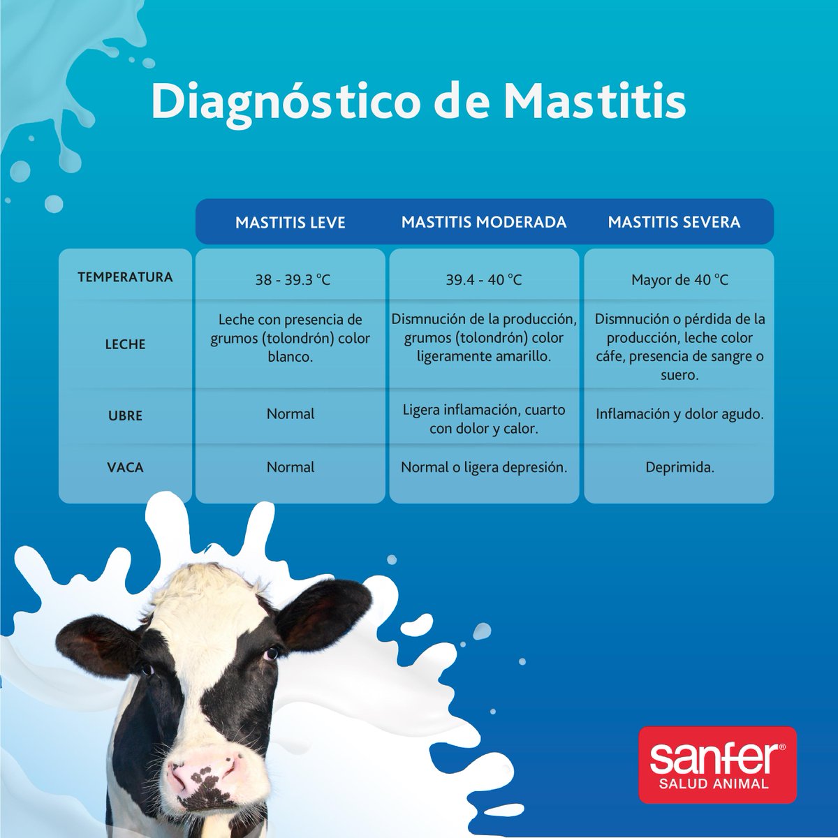 SanferSaludA's tweet photo. Es importante identificar el grado de #mastitisclínicas que tiene la vaca a través del diagnóstico.
👉Más información: https://t.co/PwGgBSHg1N
#SanferSaludAnimal #Mastitis #Mastivac https://t.co/G28OLttXIJ