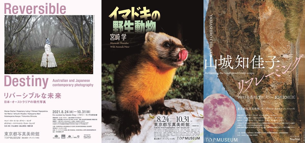 東京都写真美術館 Topmuseum Twitter