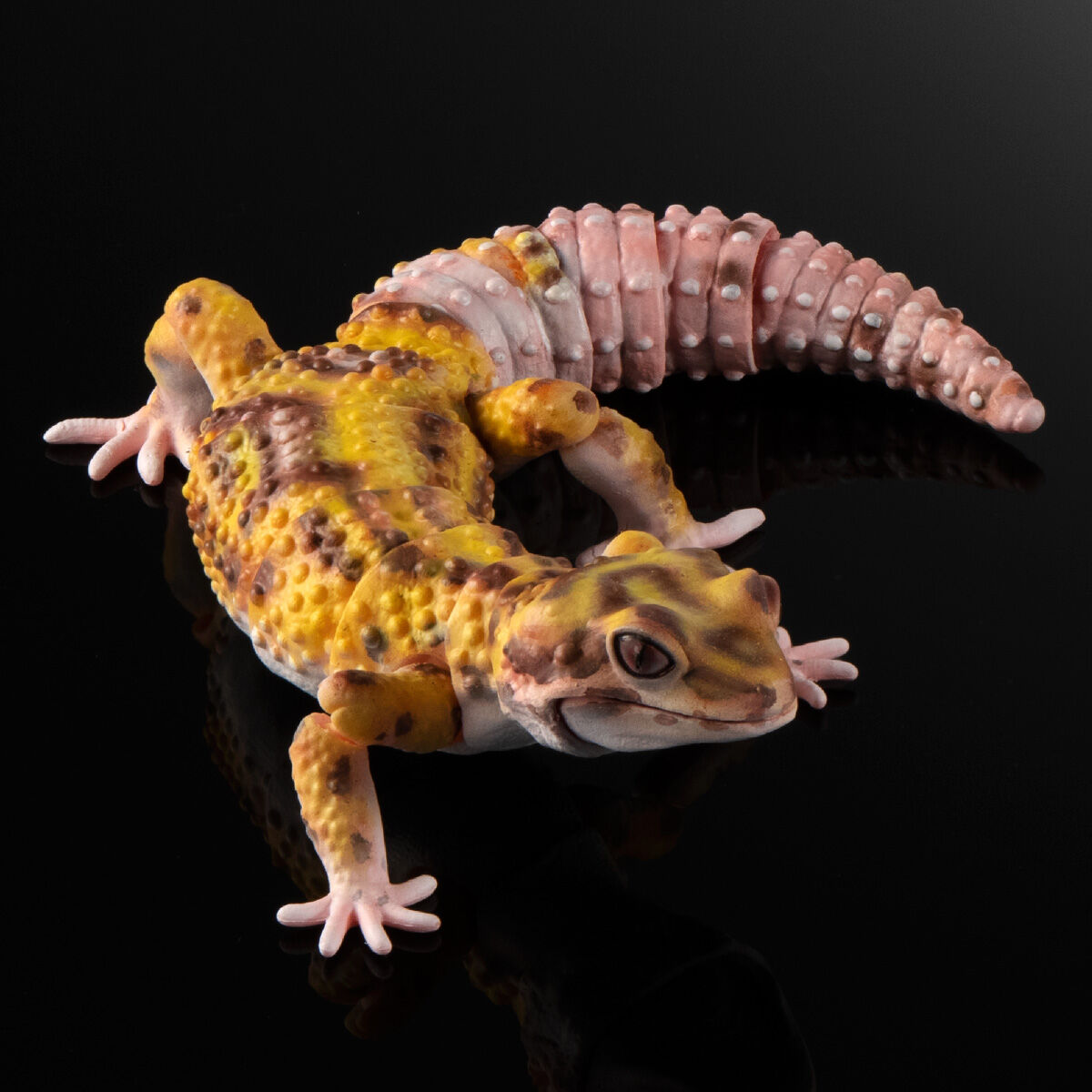 RT @hobbywatch_jp: 「いきもの大図鑑アドバンス ヒョウモン