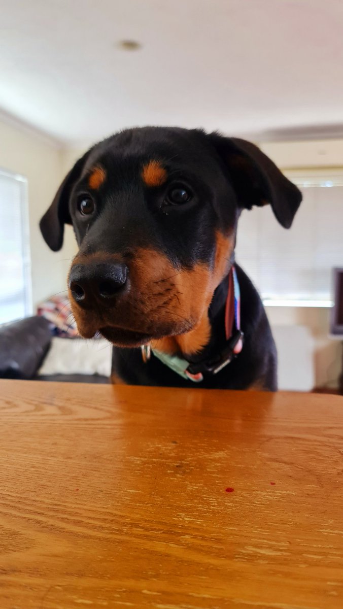 What are you eating Mama? Can I have some please🙏