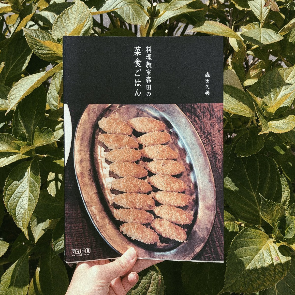 booklab_sapporo's tweet image. 本日も19時までオープン🧡
素敵な入荷をご紹介！
本日もお待ちしております😊

#booklab #ブックラボ #札幌 #古本屋