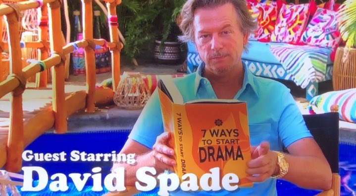 _AttorneyAtPaw's tweet image. MAKE DAVID SPADE THE OFFICIAL #BachelorInParadise HOST, YOU COWARDS!