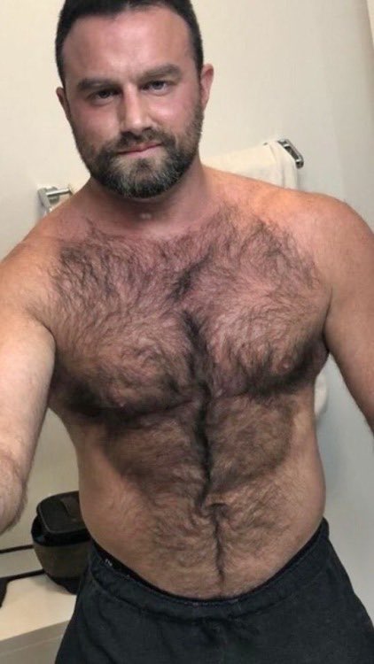 грудь волосы мужское. мужчины с волосатым торсом. мужской волосатый живот. мужские волосатые соски. волосатый живот мужика.