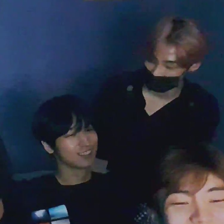 2m i love meow very much 💙💜🐱🐶