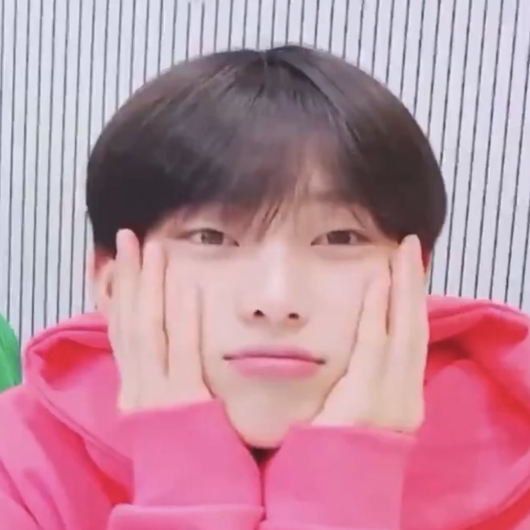 폭스 tweet media