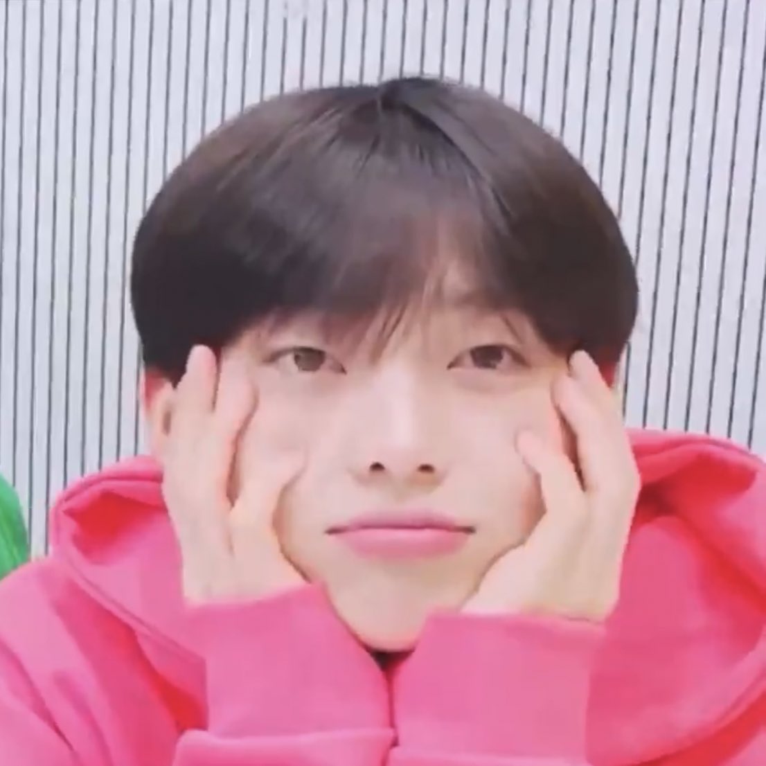 폭스 tweet media