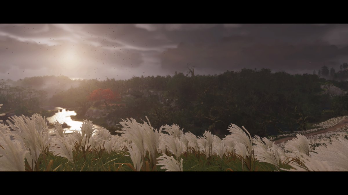 PastorHart's tweet photo. #GhostOfTsushima #PS5Share, #GhostofTsushima https://t.co/jykvLSRL8H