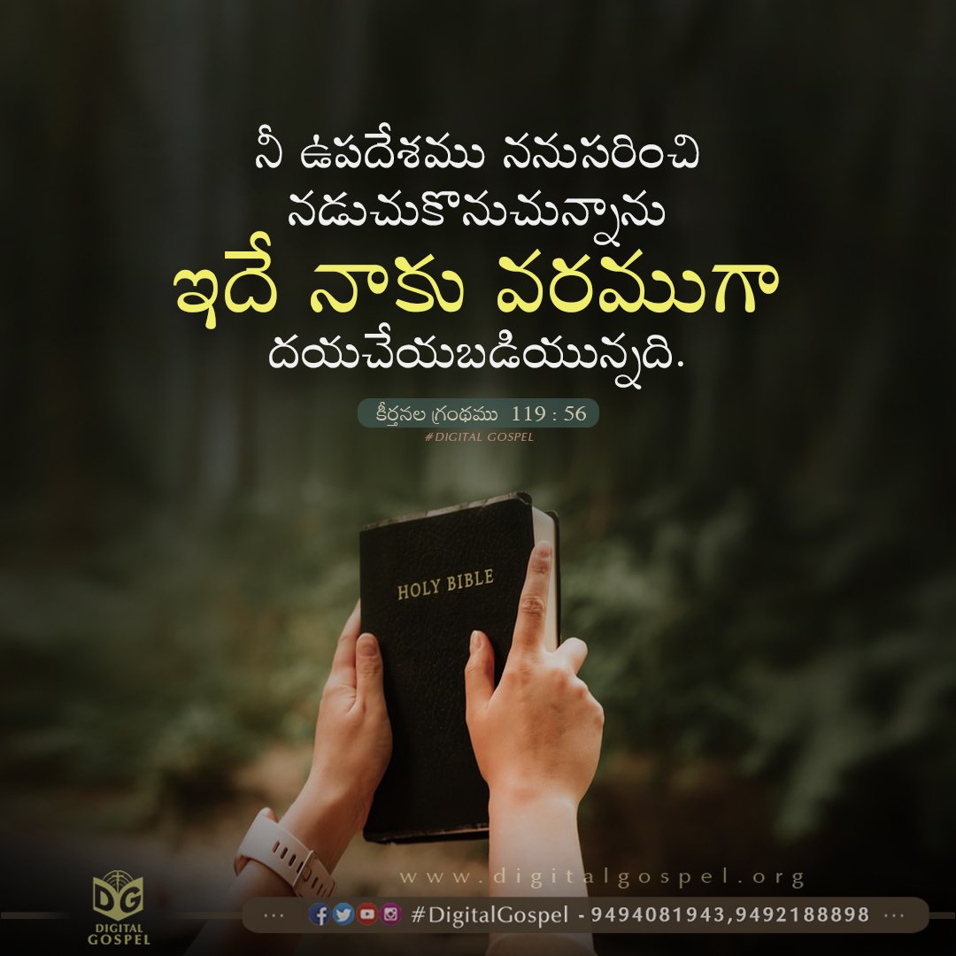 Praise the Lord 🙏 #DigitalGospel Psalms కీర్తనలు 119:56 Telugu Bible  Verses - Telugu Bible Wallpapers - Digital Gospel Whatsapp Status - Telugu  Bible Daily Devotion - Telugu Bible Quotes, image size:1080x1080