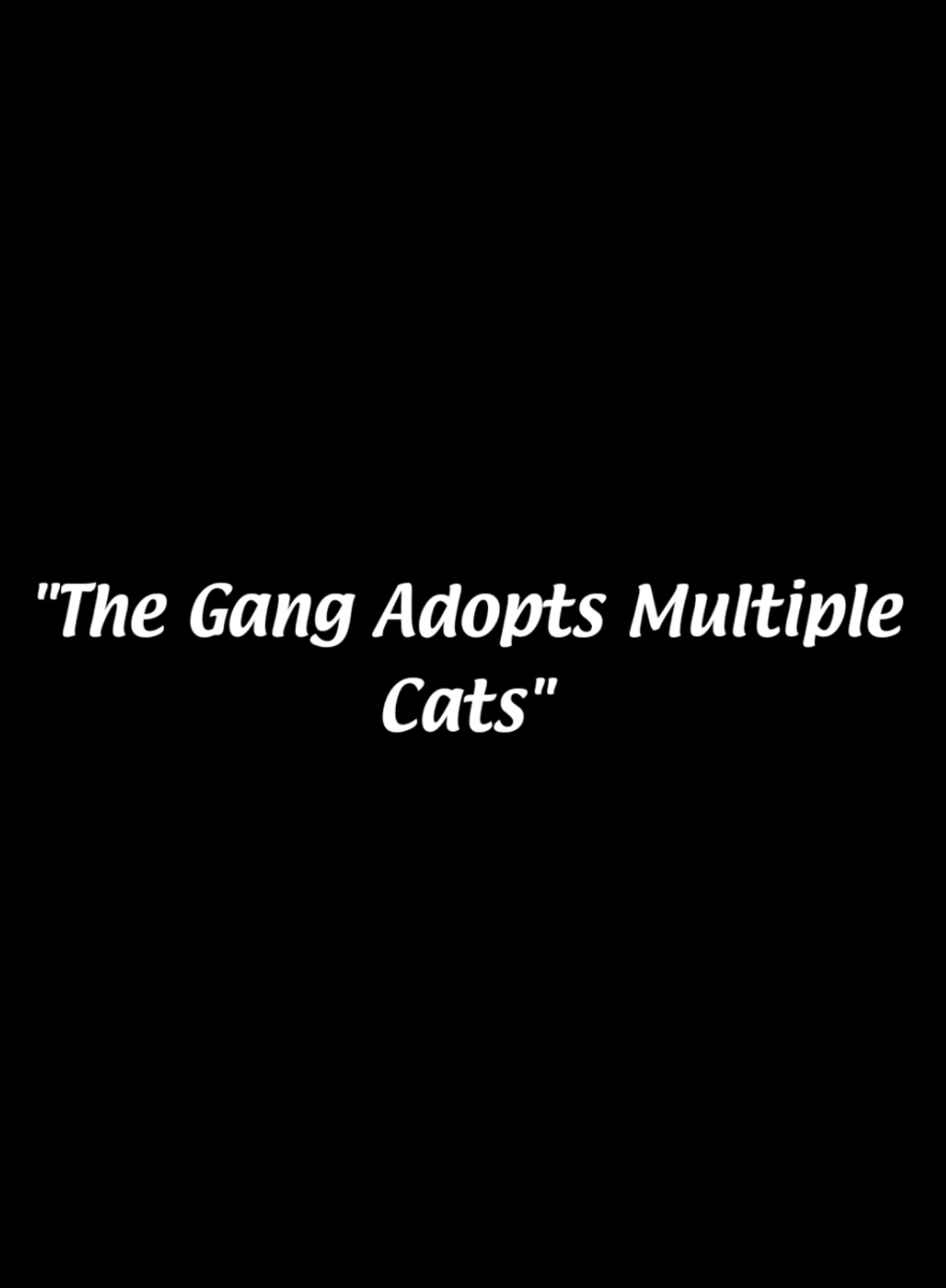 Mel_found_nemo's tweet photo. My gf: hahaha silly wouldn't it be funny if I looked at cat adoption sites to find funny names haha wouldn't that be silly

*One day later* https://t.co/G0PrreCaL4