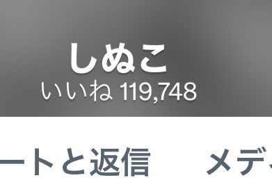 ルナ 𓂃 𓈒𓏸𓍯さん と Shinukosan のやりとり 1 Whotwi グラフィカルtwitter分析 ルナ 𓂃 𓈒𓏸𓍯さん と Shinukosan のやりとり 1 Whotwi グラフィカルtwitter分析