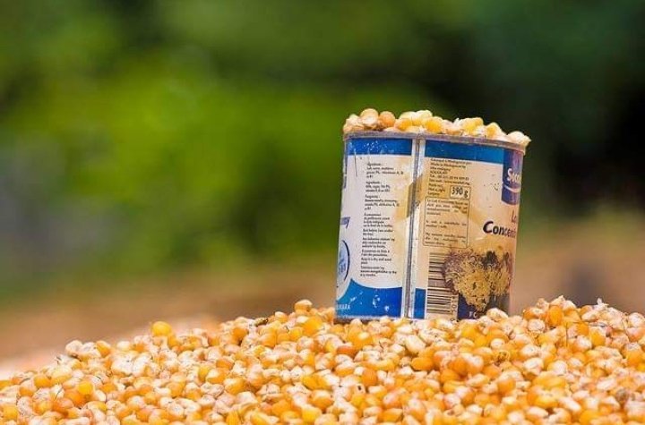 BasedMerina's tweet image. In my country, we call it "katsaka"