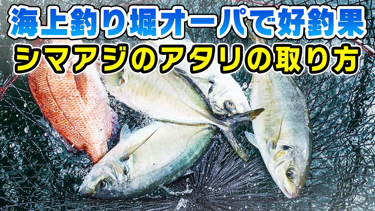 たけと 海上釣り堀 Xv3jmbnwsuplzhr Twitter たけと 海上釣り堀 Xv3jmbnwsuplzhr Twitter