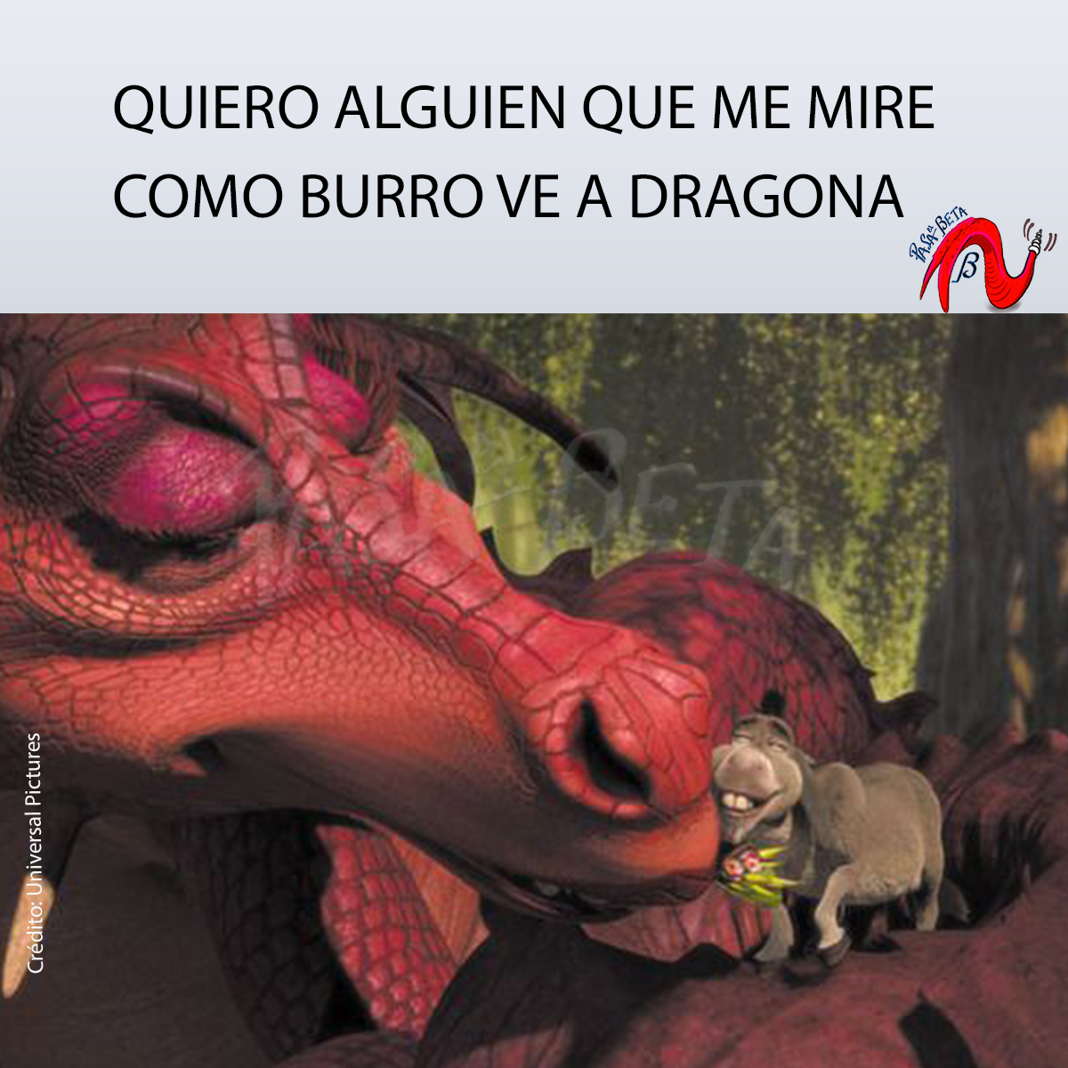 memes burro shrek