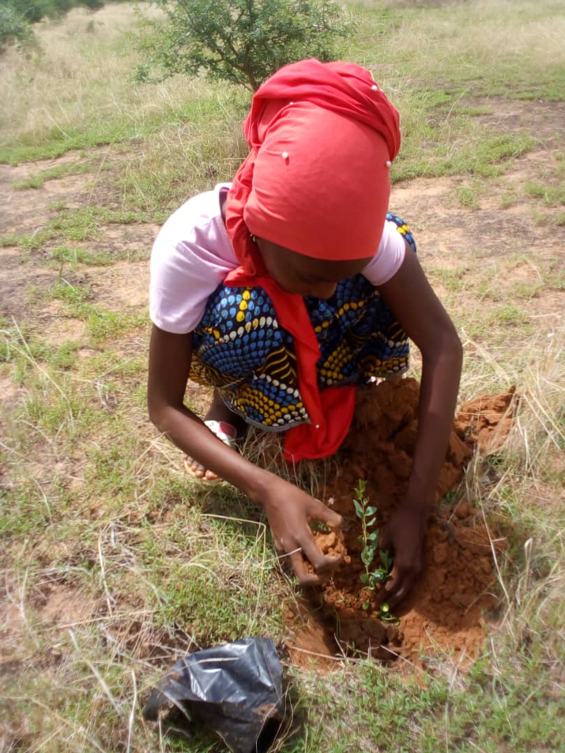 asergmv's tweet image. La Campagne nationale de #Reboisement 2021 bat son plein à la Grande Muraille verte.
Avec une production de plants de 1300000, repartie dans 10 pépinières sur tout le long du tracé de la #GMV, les opérations de reboisement ont démarré depuis le 18 août. #pse_vert #kebetu #Senegal