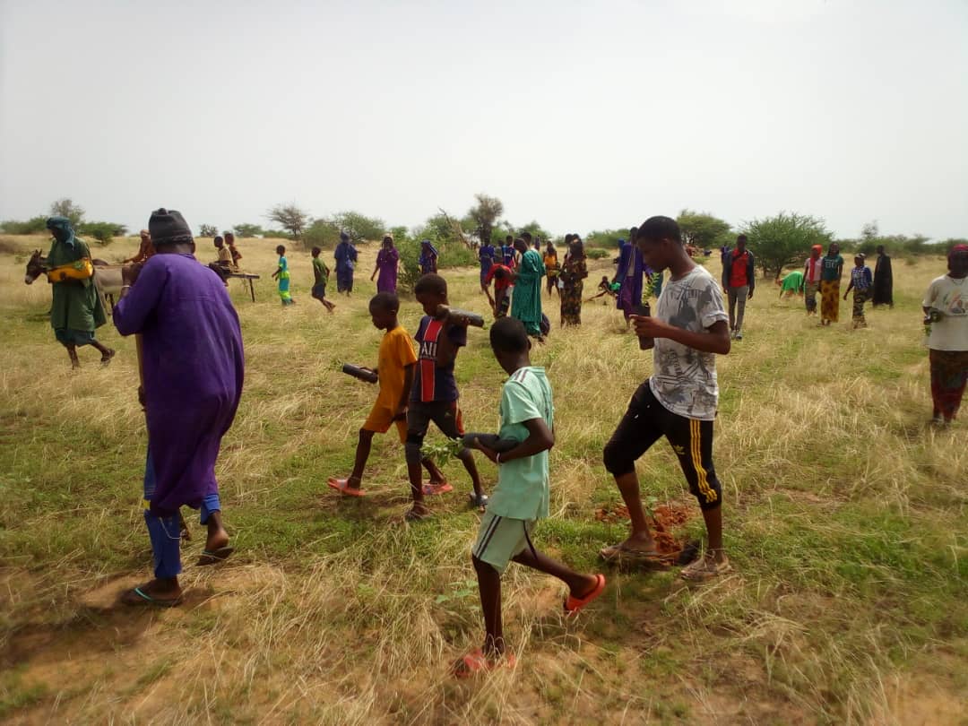 asergmv's tweet image. La Campagne nationale de #Reboisement 2021 bat son plein à la Grande Muraille verte.
Avec une production de plants de 1300000, repartie dans 10 pépinières sur tout le long du tracé de la #GMV, les opérations de reboisement ont démarré depuis le 18 août. #pse_vert #kebetu #Senegal