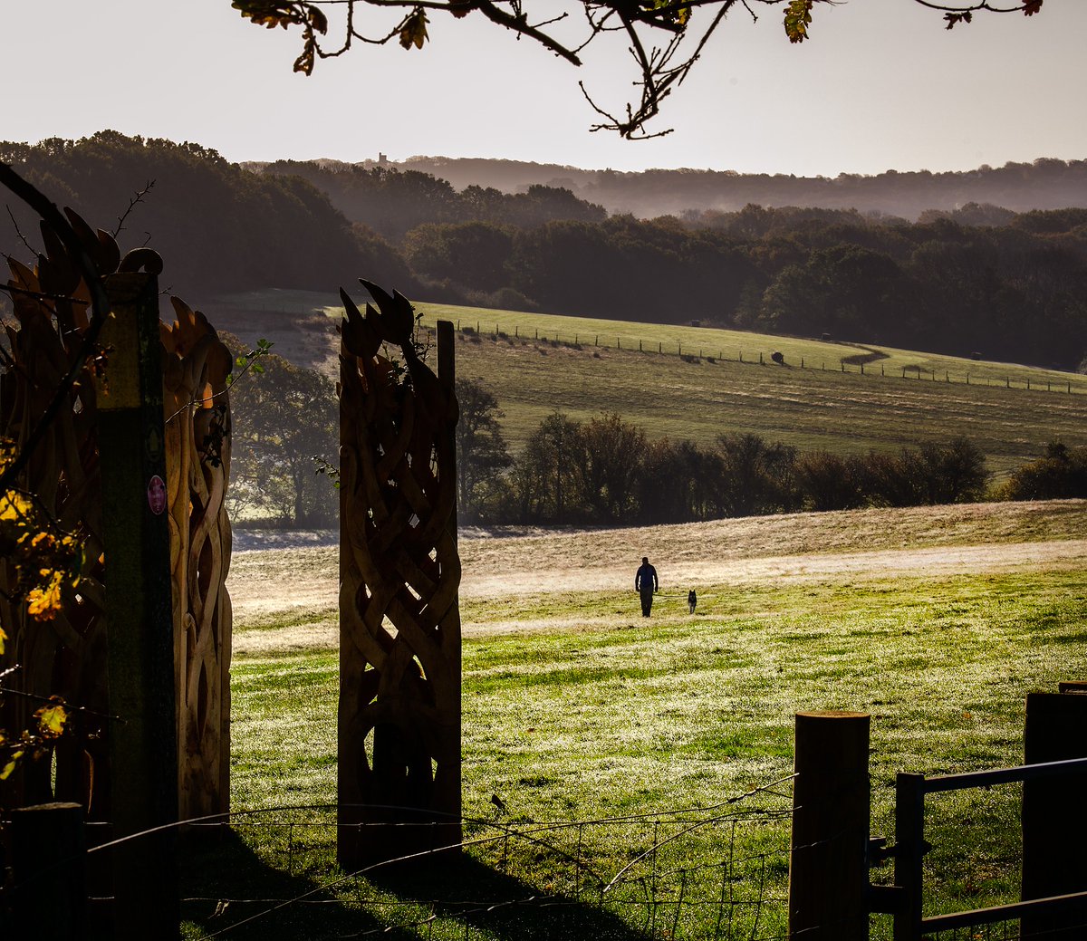 Visit South East England tweet media
