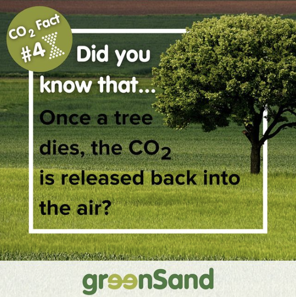 Today's #CO2fact: Once a tree dies, is cut or burnt down, the stored CO2 is released back into the air. 
The unique property of #olivine is that the stone removes CO2 in a permanent way

#enhancedweathering #carbonremoval #ClimateActionNow #SDGs #carbonneutral #GlobalWarming