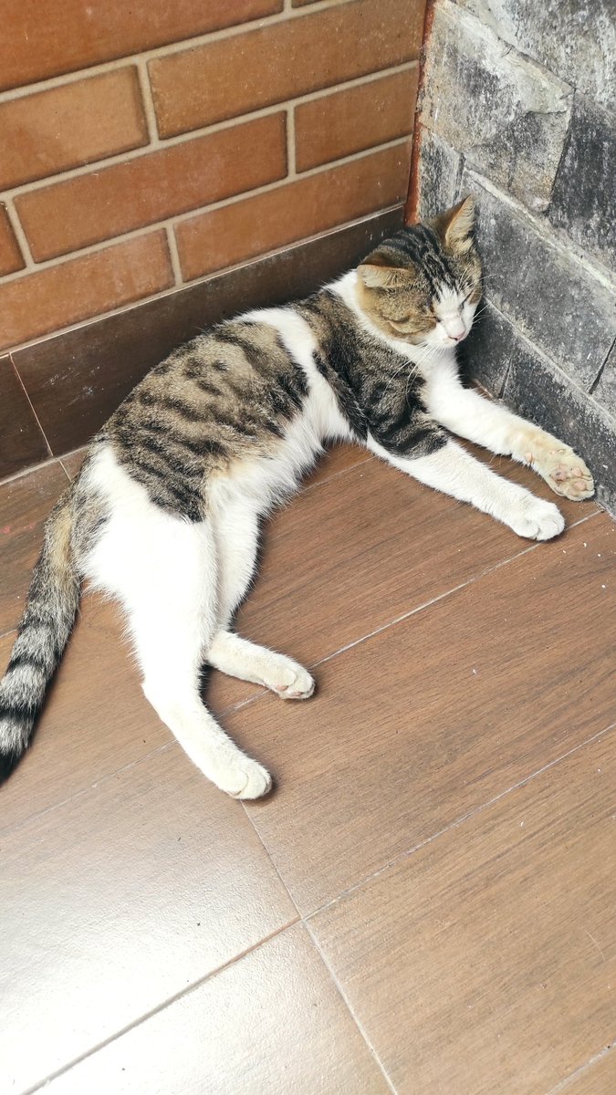 Jadi ikut ngantuk liat ada yang bobok