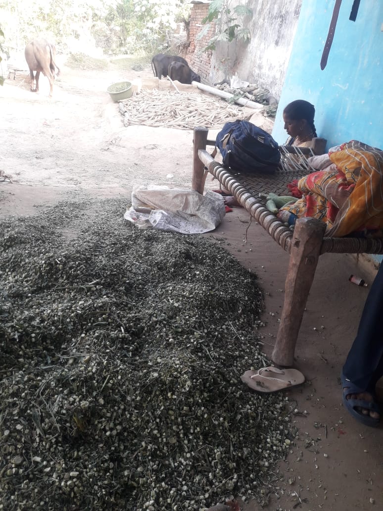 jitendra1386's tweet photo. @ChouhanShivraj @OfficeofSSC @BhindCollector Sir, please help this village. They are living without electricity and despite many efforts, they are still waiting for electricity. #NoElectricity
Village - Labhera ka pura, Tehsil - Gormi, district - Bhind (M.P) https://t.co/dhaQVCFo52