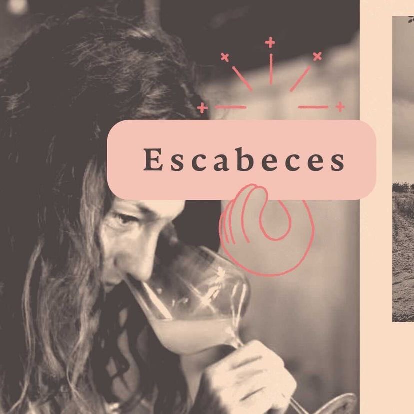 Santa_Teca's tweet photo. Hi tornem! @Santa_Teca a La Nou de Gaià amb la primera Festa del Cartoixà.
7 cellers per descobrir vins d’una de les varietats +antigues de Tarragona.
Què tastarem?
1. #Escabeces @saraprez3
https://t.co/BjFz1sidJK https://t.co/5Nw0XcgLCK