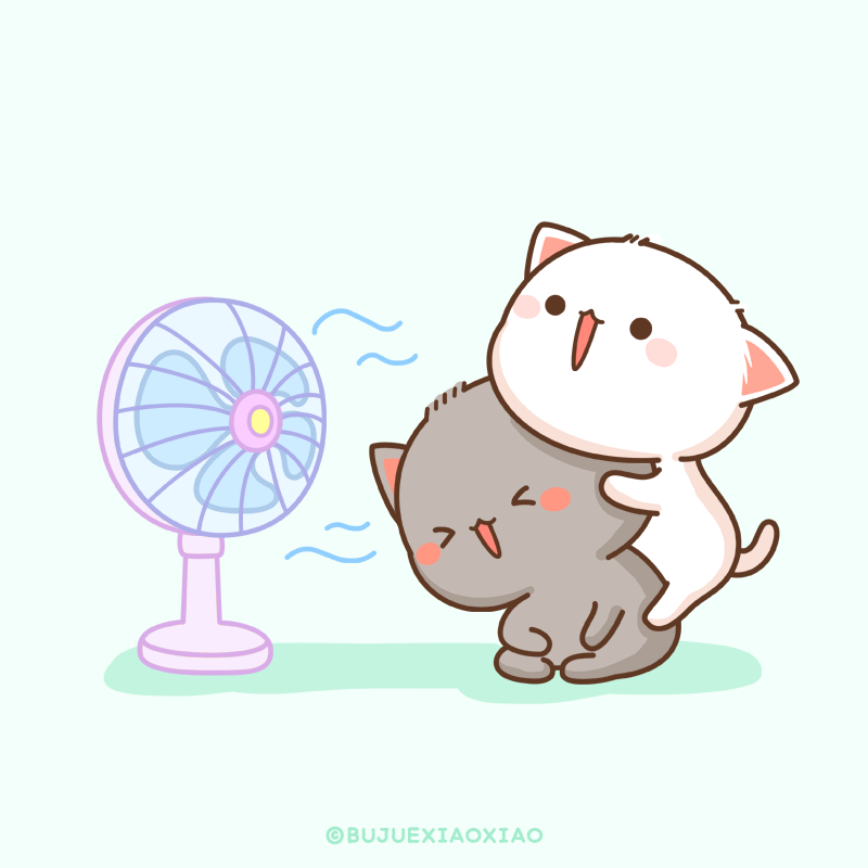 ももねこちゃんとごまくん Momoneko Goma Twitter