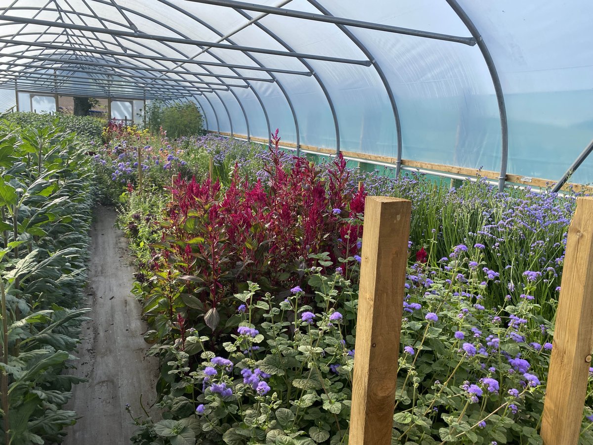 We are all set and ready to welcome you all to our first open day! 🤩 

The sun is shining here at Blooming Bees 🐝 🌸🏴󠁧󠁢󠁳󠁣󠁴󠁿

See you all soon!