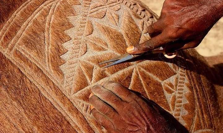 Waseeb_Zada's tweet photo. #Cholistani People Can Make Beautiful Designs On Camels. ❤
#Saraiki_Waseeb
#ٹیم_سرائیکستان https://t.co/tDydi6q5vT