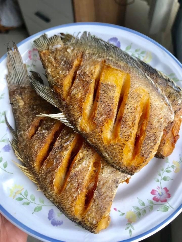 #เก๋ไก๋ อย่ากินเเต่สตอเบอรี่ กินปลาด้วยนะคะ จะได้ฉลาดขึ้น