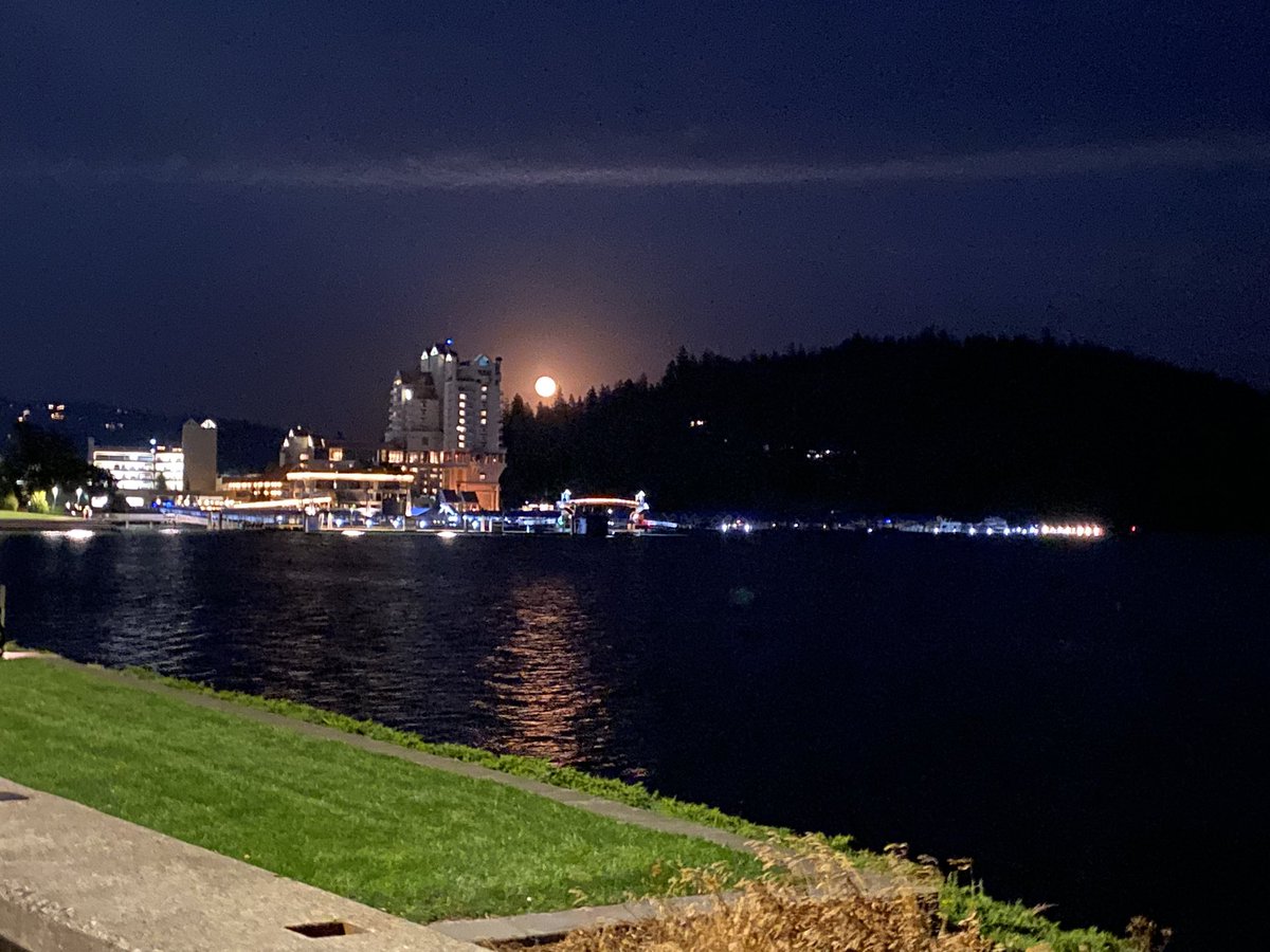 tabitha_pr's tweet image. Fullmoon last night. Love  nights like this with good people. 🚲 #FullMoon #bike #cycle #sundayvibes