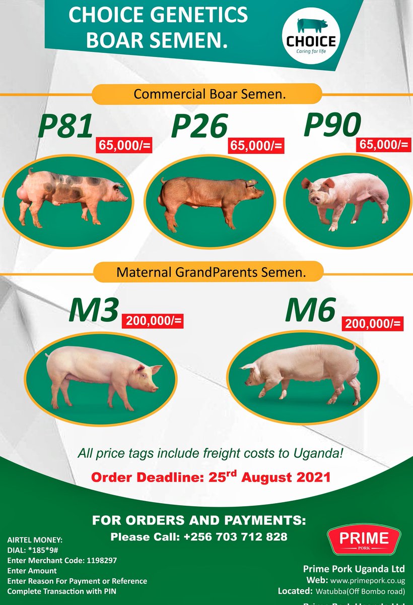 Christopher Mulindwa tweet media