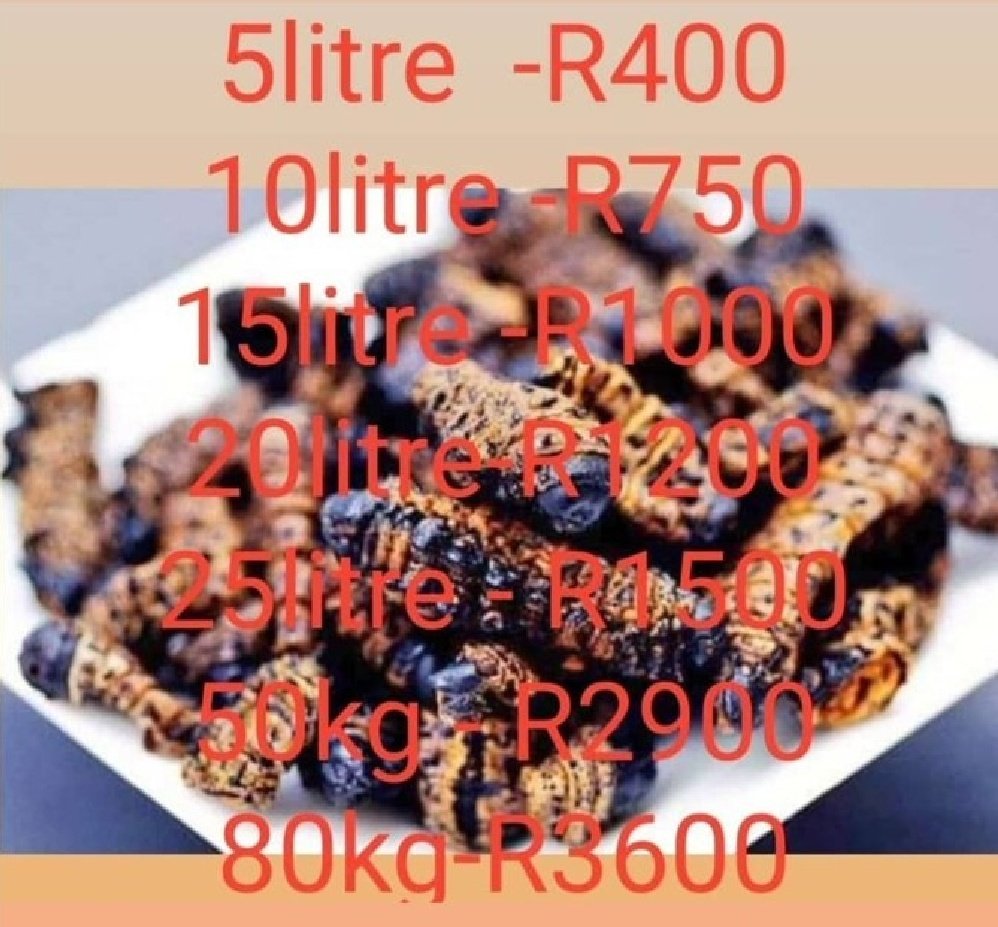 Dm or contact me on 0727624228/0815724879 to order (Courier is nationwide) #level3 #Vendatwitter #VhuvhambadziDrive #DjSbu #GirlTalkZA #KZNshutdown