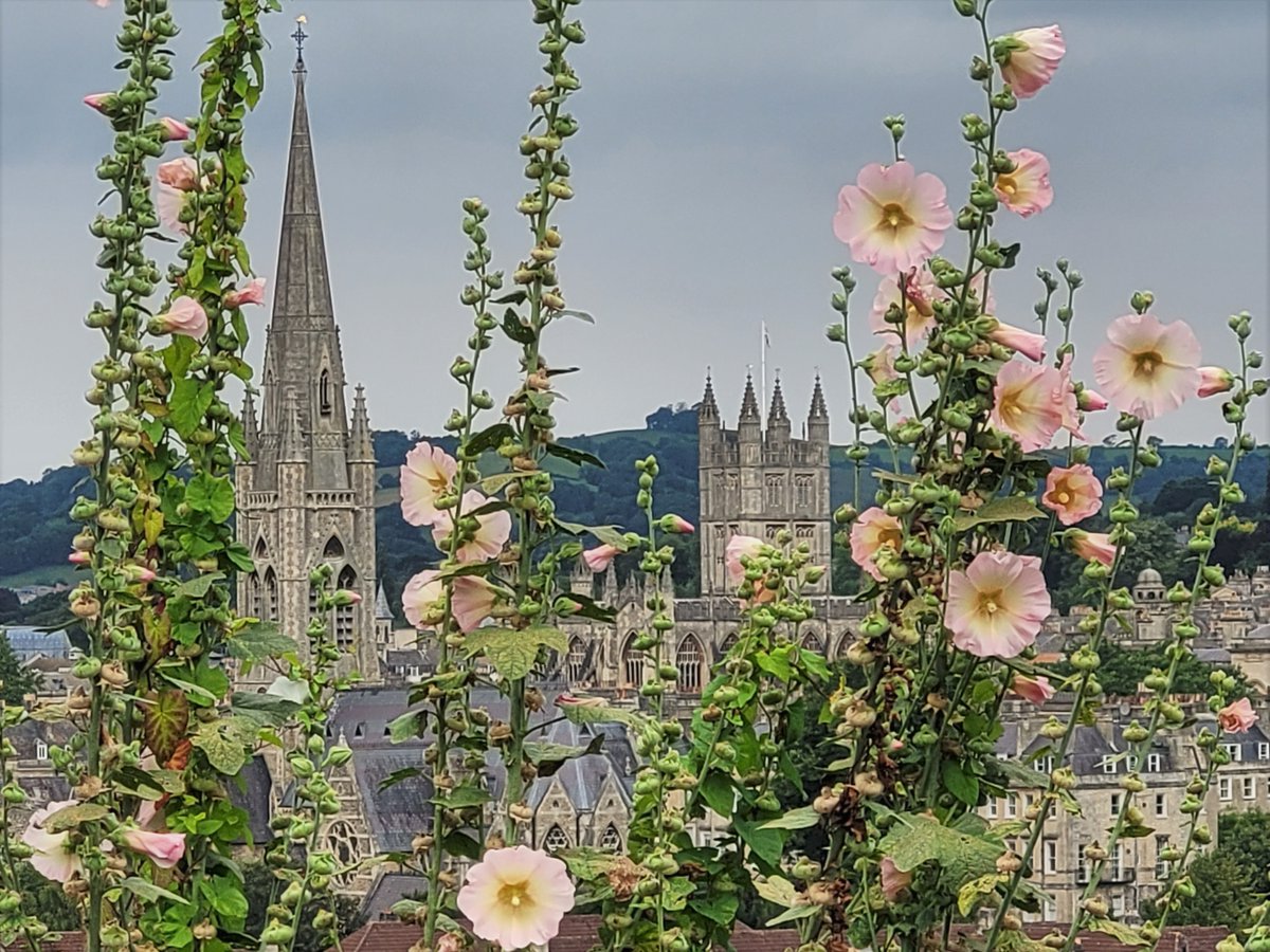 RachelWardbooks's tweet image. They don&apos;t call it Abbey View for nothing. Hollyhocks, towers and spires. Have a good day! xx