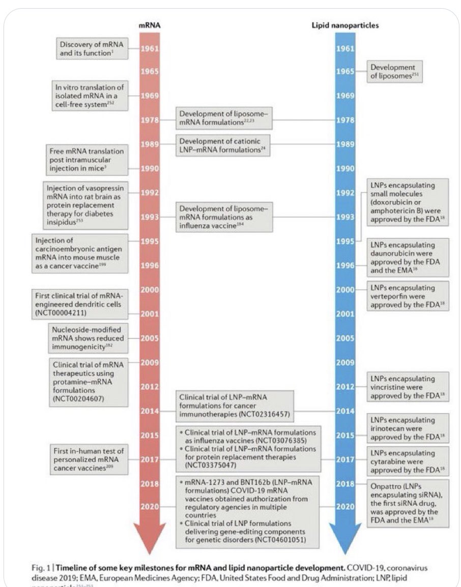 Claire Peltier (@musette36) / Twitter