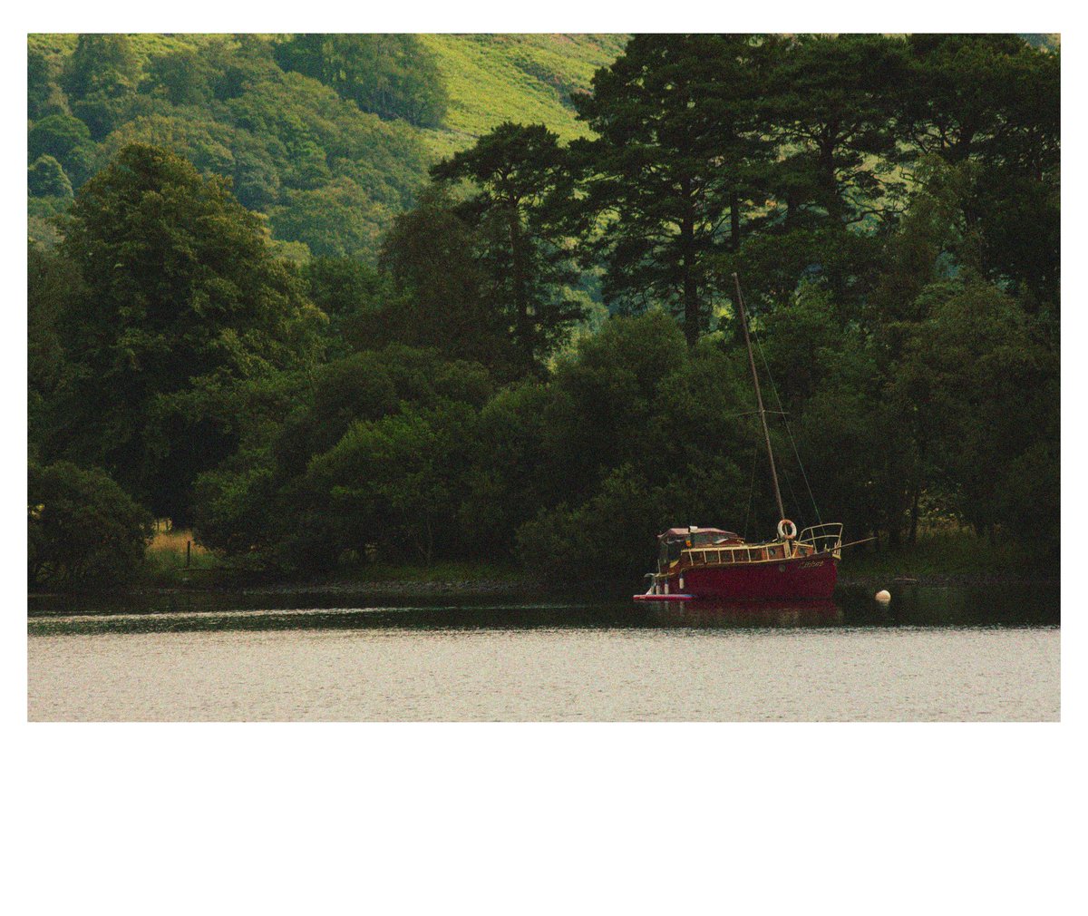 JaackTweets's tweet image. Tried a Polaroid kinda style