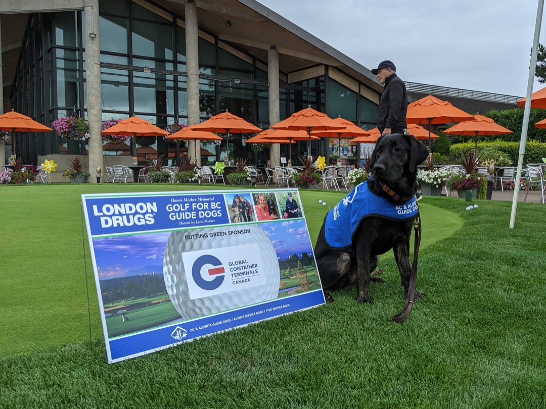 Congrats on another successful event <a href="/bcguidedogs/">BC & Alberta Guide Dogs</a>
and what a great picture of the putting green team!! 👏😃🐶#GuideDogs #GlobalCommitment #GCTCanada