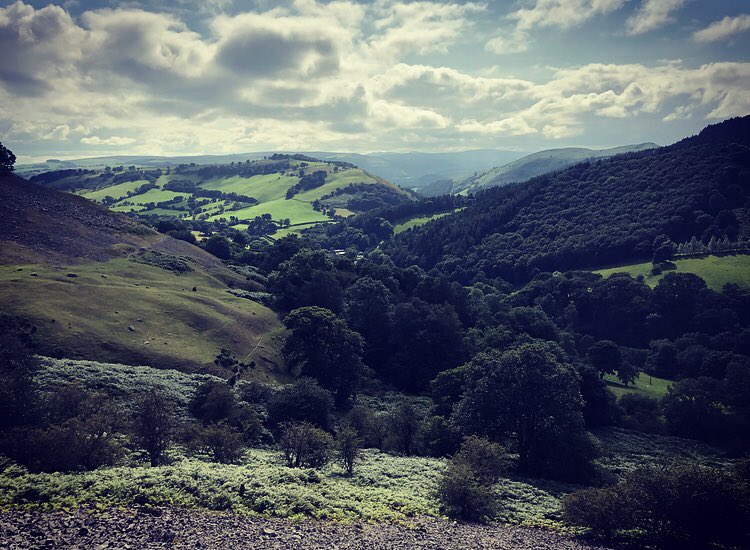 Mellissa Berry tweet media