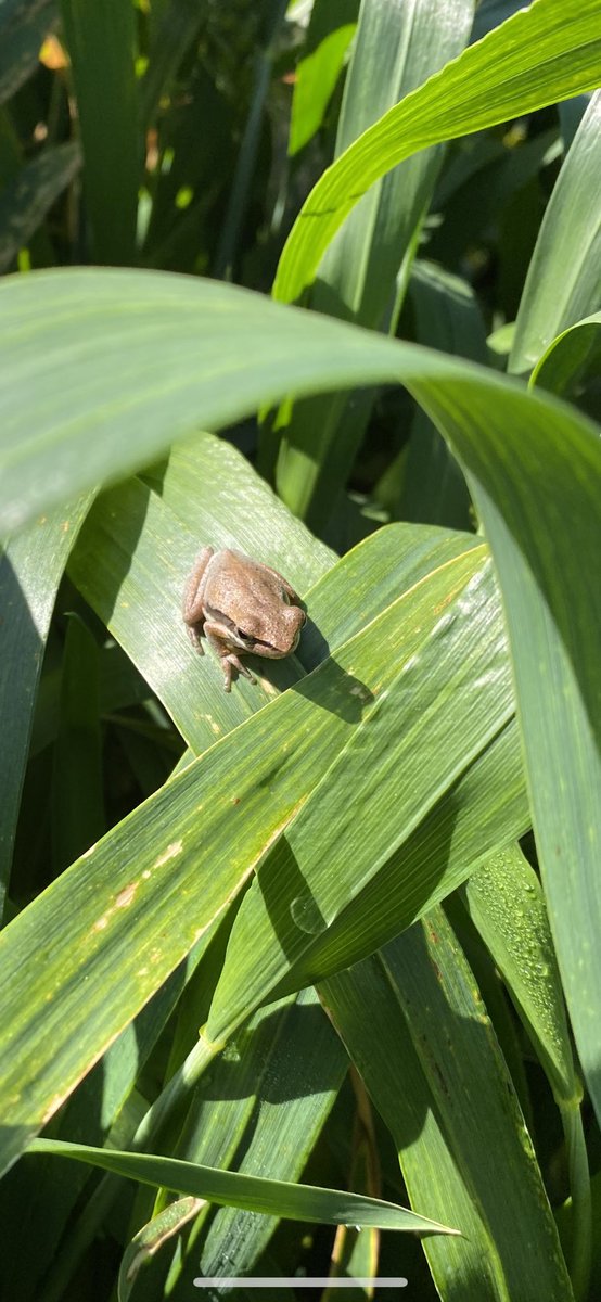 You know its wet when……