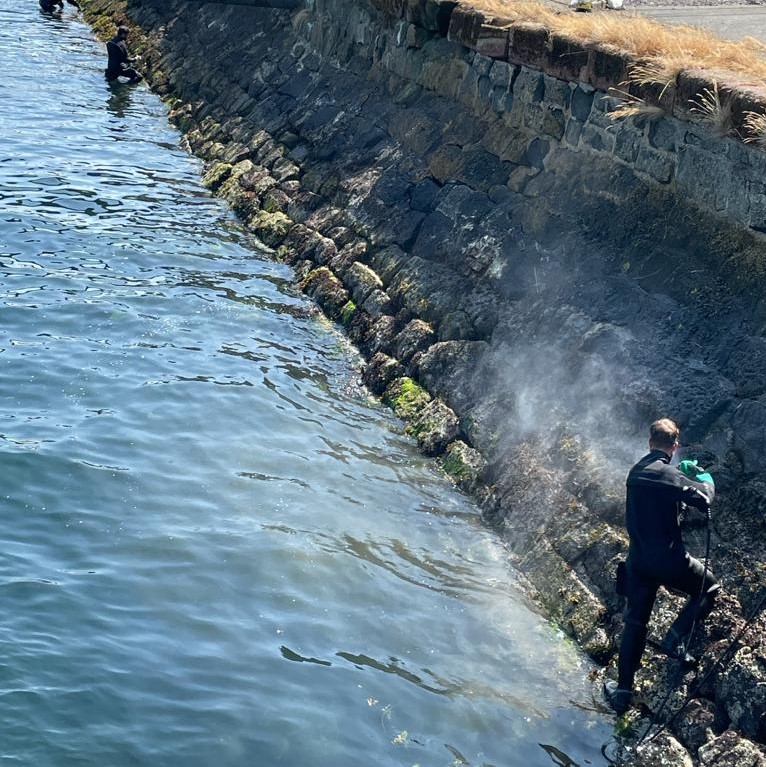 Harbour walls need some TLC every now and then, don't you think? Our #marinemaintenance team knows how to bring out the beauty in marine structures by giving them a good scale and polish 🌊🧼🧽🧹🌊