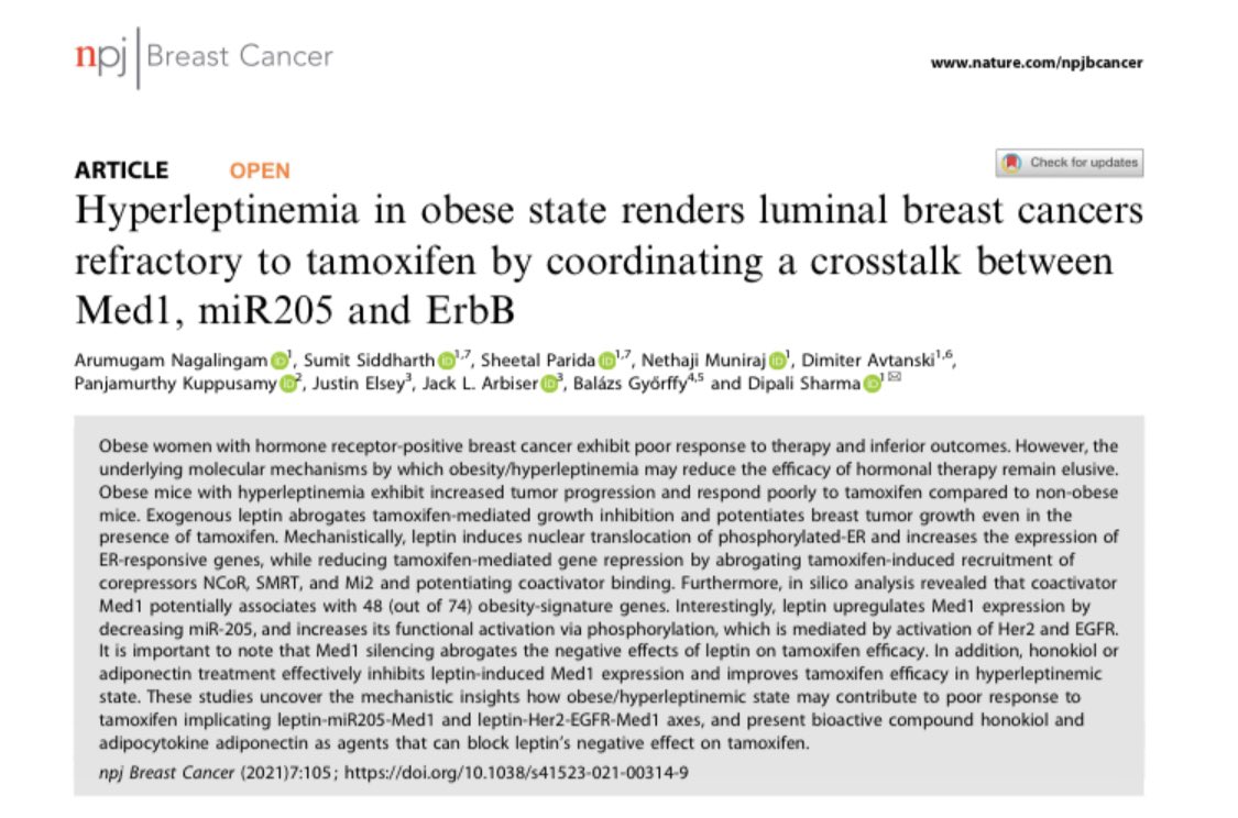 My colleague, Dipali Sharma, shows the mechanistic underpinnings why women w/excess weight &amp; ER+ breast cancer may not get the full benefit of tamoxifen. Next stop: biomarkers to segregate women w/obesity as not all of develop resistance/recurrence. rdcu.be/ctZpa