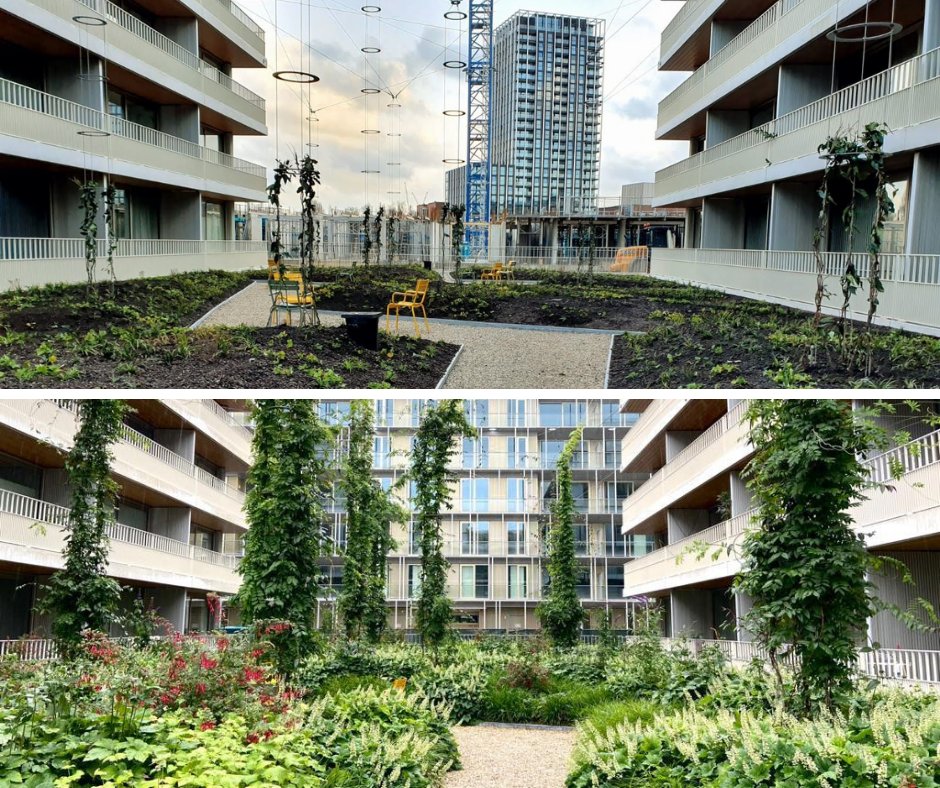 Zoek de verschillen | De daktuin van Blok B op Overhoeks, Amsterdam komt geweldig tot bloei. Ook onze samenwerkingspartner Buro Sant en Co deelt dit enthousiasme: "Iedereen van werkvoorbereiding en uitvoering van HOEK, klasse!" #cocreatie #dakgroen #Amsterdam #samenwerking