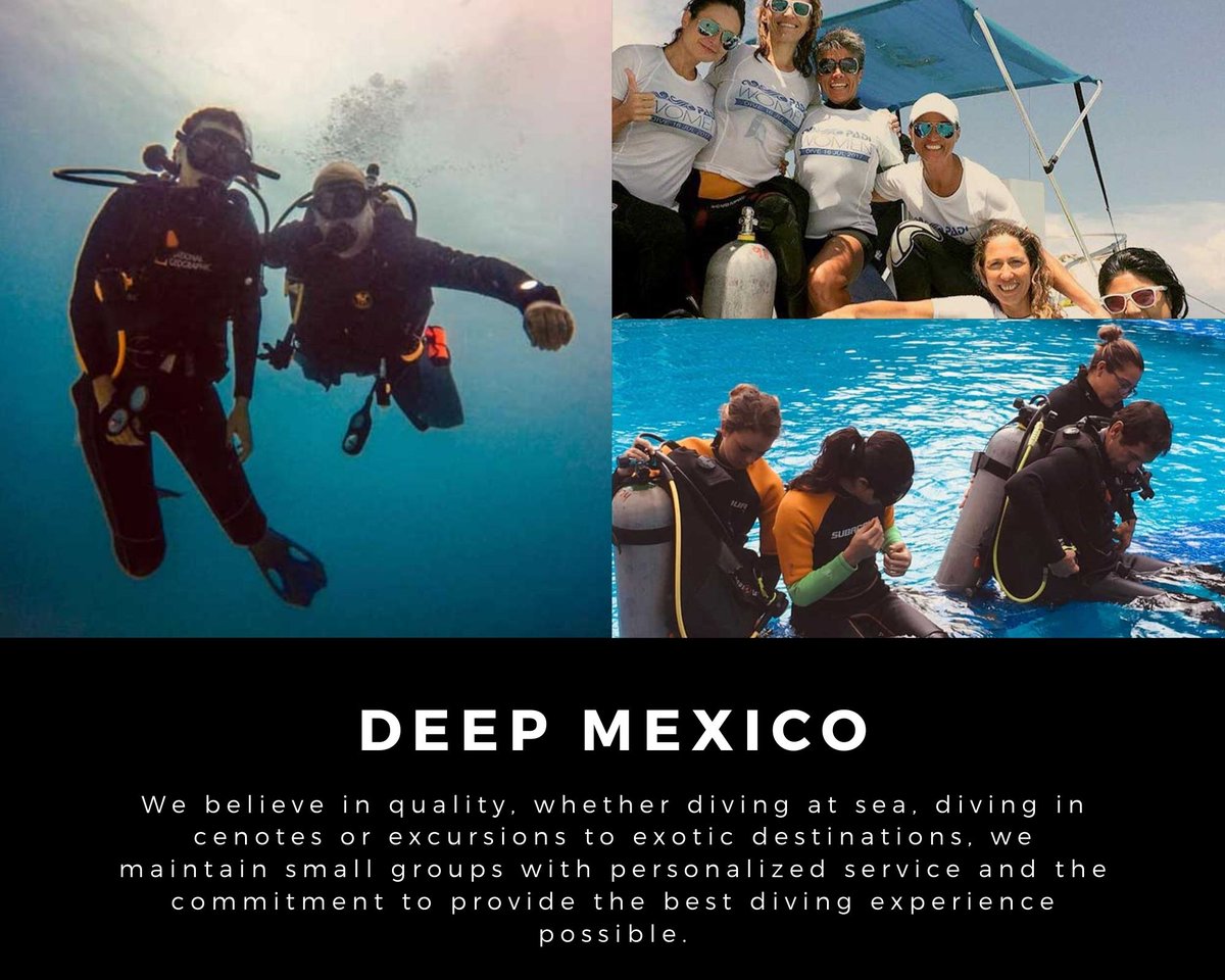 DeepMexico1's tweet image. Our certified dive guides and instructors can provide certification courses from beginners to advanced / Nitrox, Dive Master and much more. 

Get more info at : deepmexico.com
DM on : +52 984 157 5464

#DeepMexico #divingincenote #Divingcenotesmexico #divecourses #Mexico