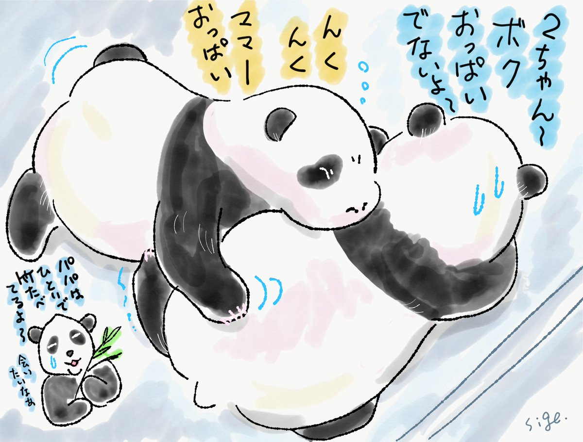 パンダライター 二木繁美 Sigepanda V Twitter 今日の双子ちゃん 絶対 2ちゃん吸われてるよね 双子パンダ 赤パン Panda パンダ 上野動物園 サボってないよ休憩だよ パンダライター 二木繁美 Sigepanda V Twitter 今日の双子ちゃん 絶対 2ちゃん吸われてるよね 双子パンダ 赤パン Panda パンダ 上野動物園 サボってないよ休憩だよ