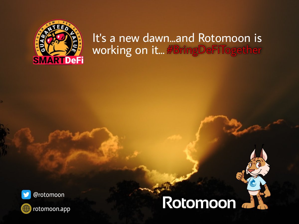 RotoMoon 🚀🌕 tweet media
