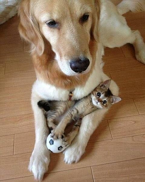 Nice spot to rest 😂